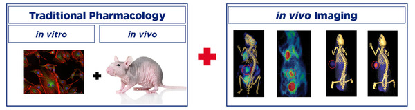 http://www.molecularimaging.com/pharmacoimaging?utm_content=office%40cromedresearch.com&utm_source=VerticalResponse&utm_medium=Email&utm_term=&utm_campaign=Molecular%20Imaging%20-%20traditional%20oncology%20pharmacology%20services%20and%20in%20vivo%20imaging%20in%20one%20place!content